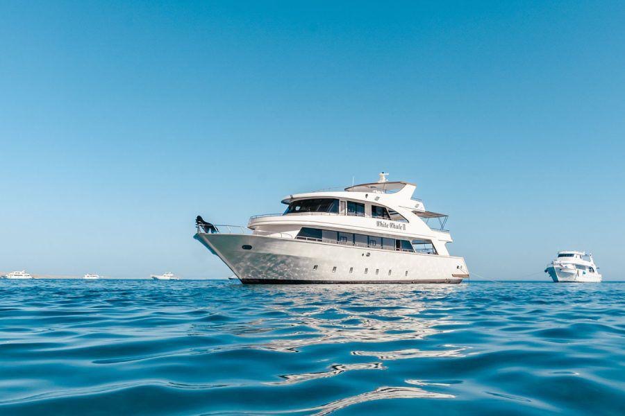 Yacht White W.