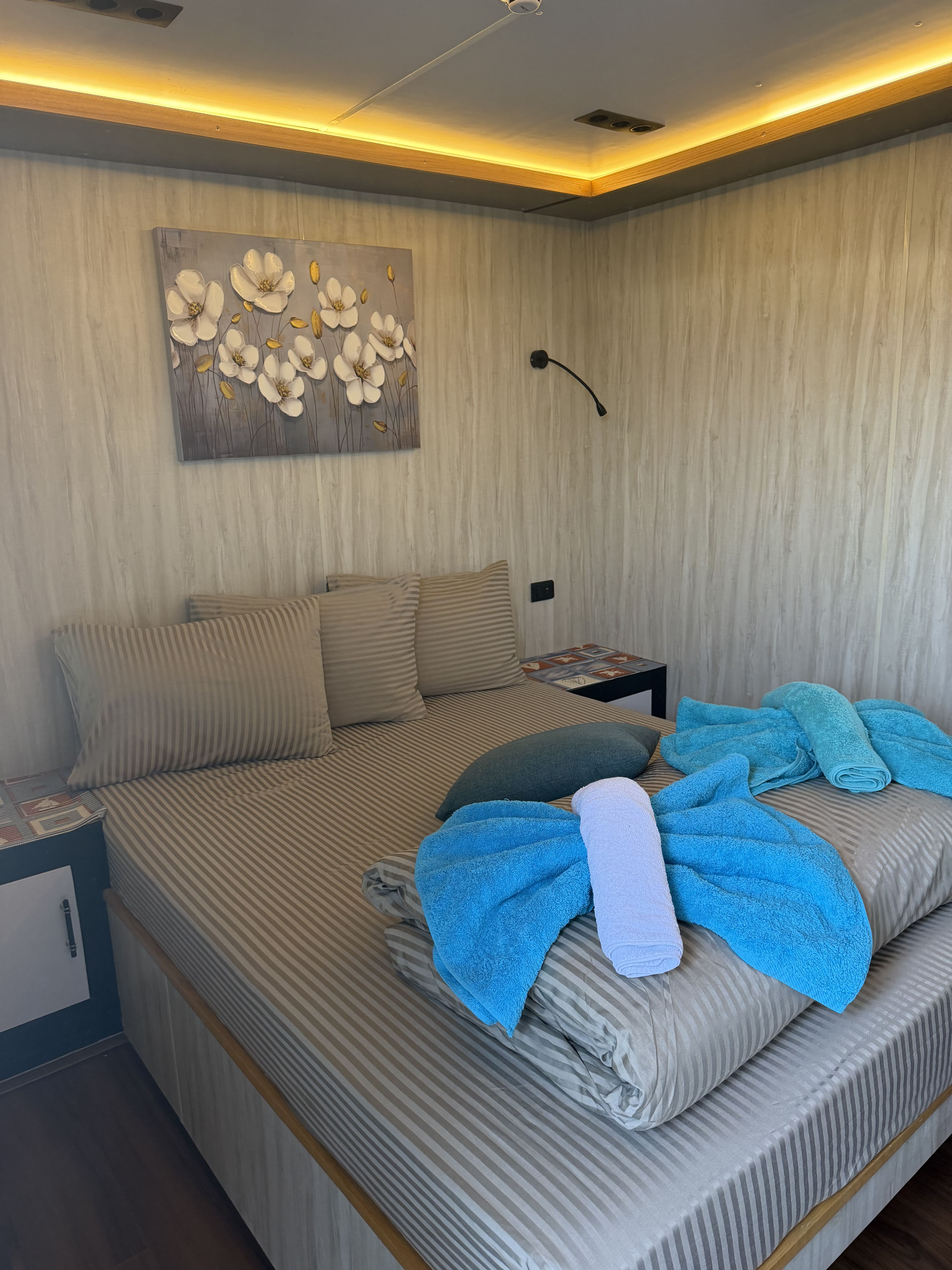 Yacht RS — photo 5